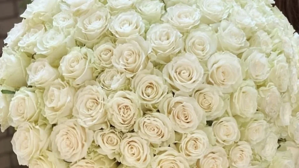 serenity_roses