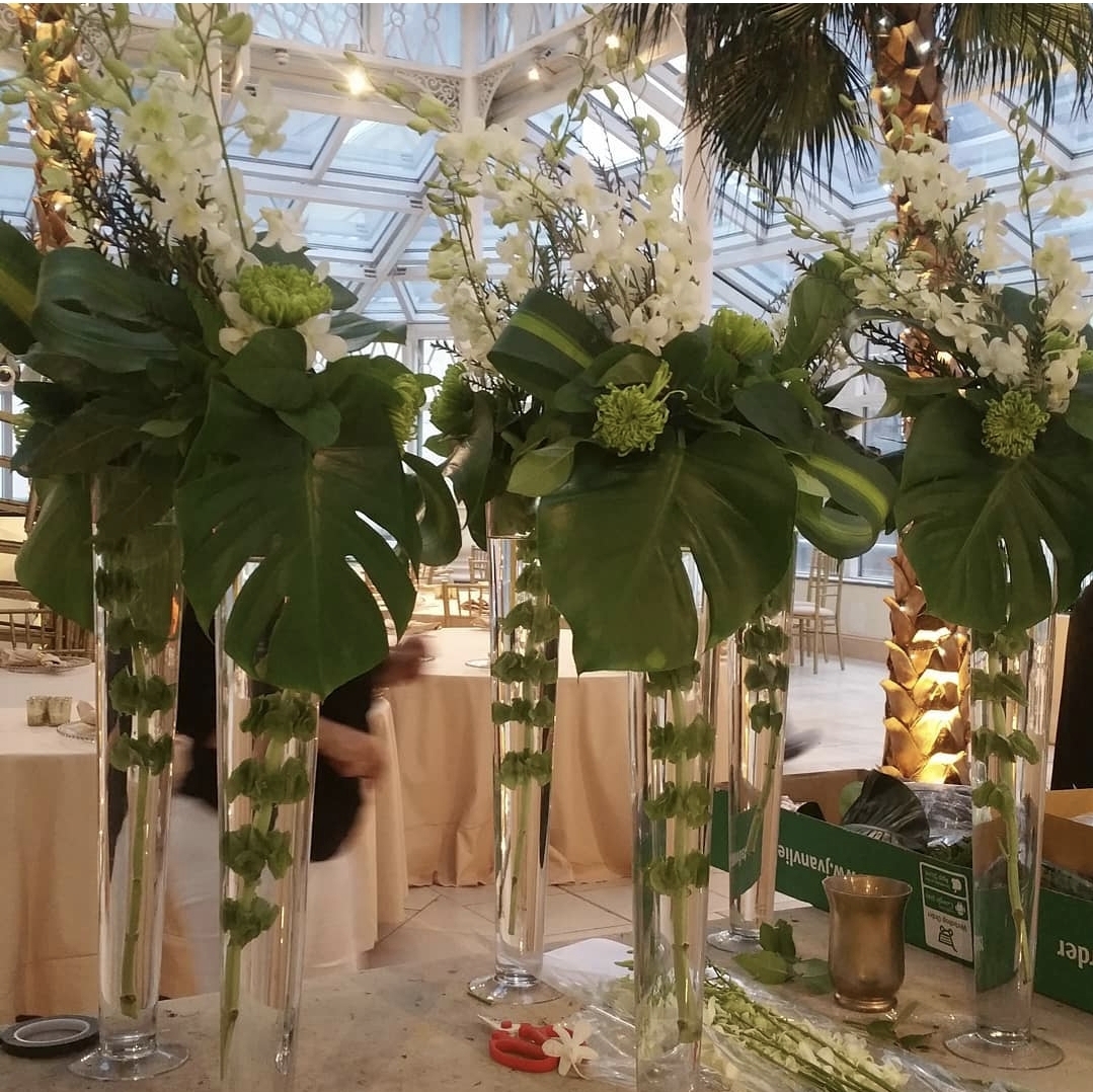 Orchid & Monstera Splendor
