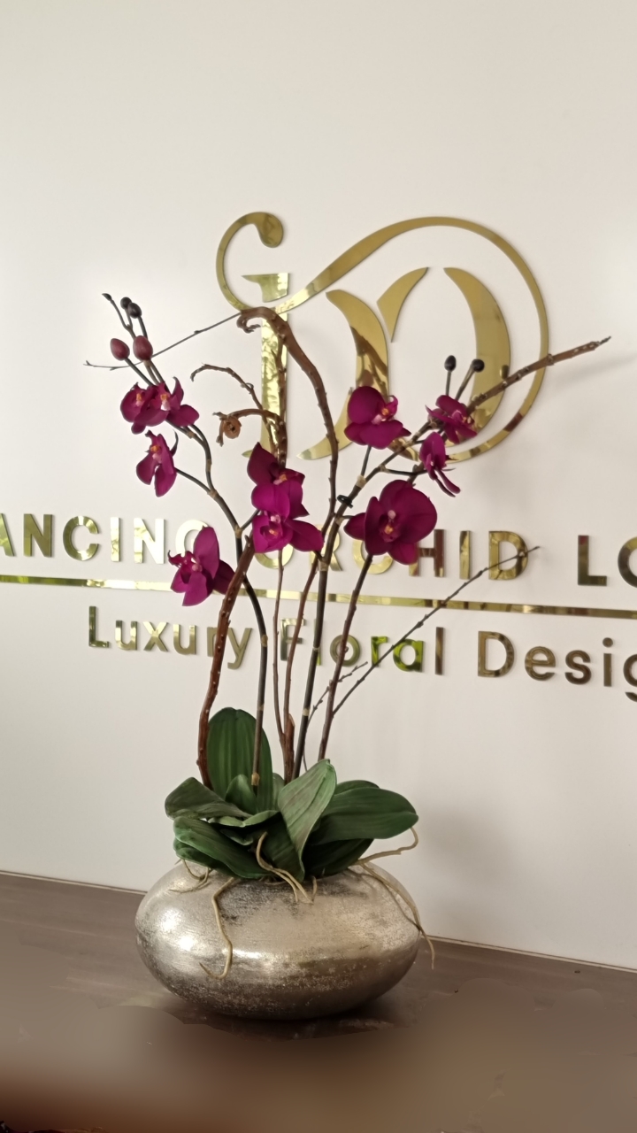Royal Purple lili flower golden pot