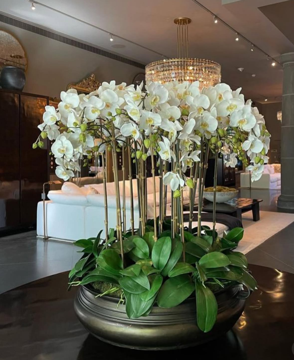 green leaf with white orchid