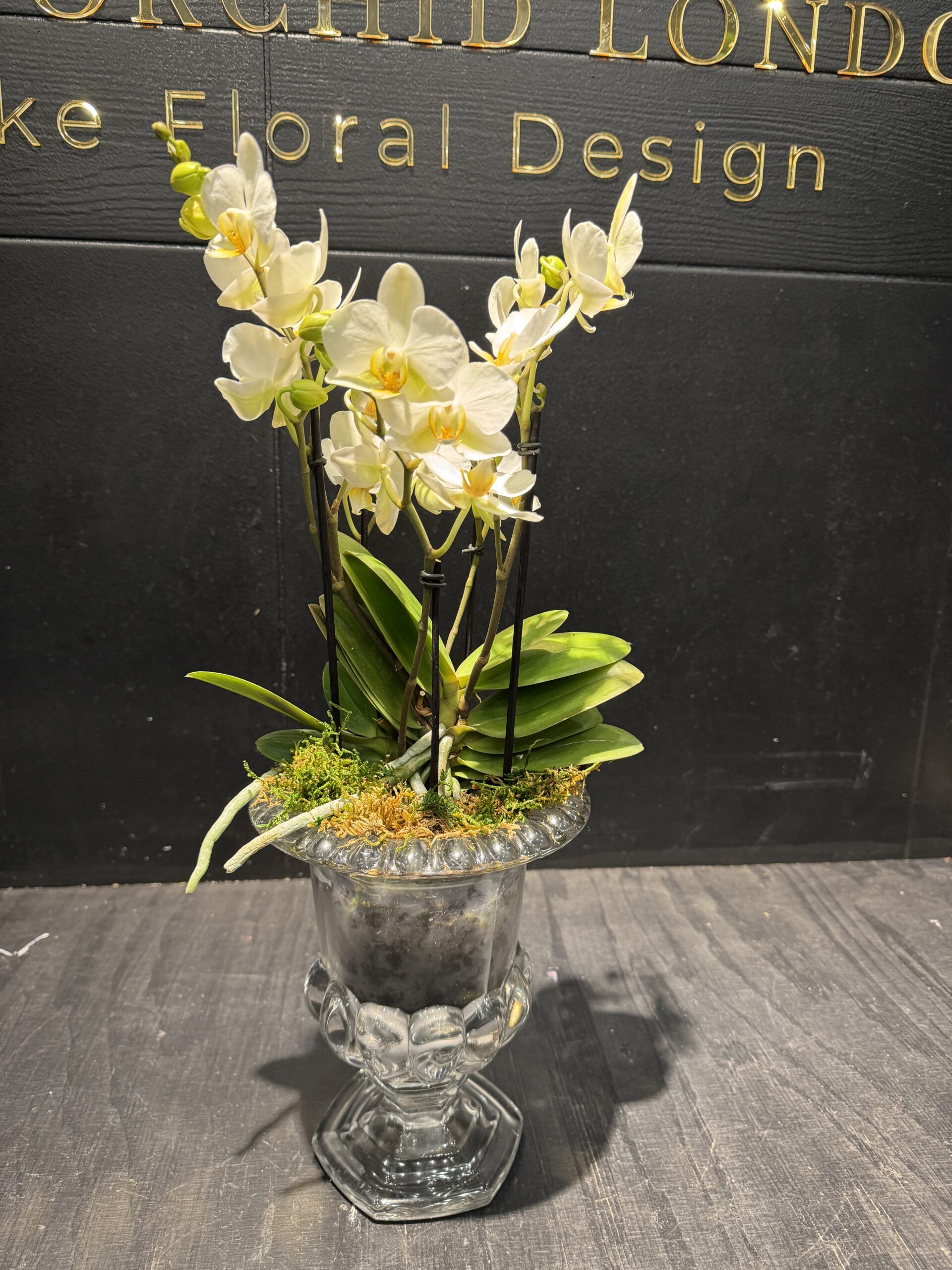 Crystal orchid arrangement