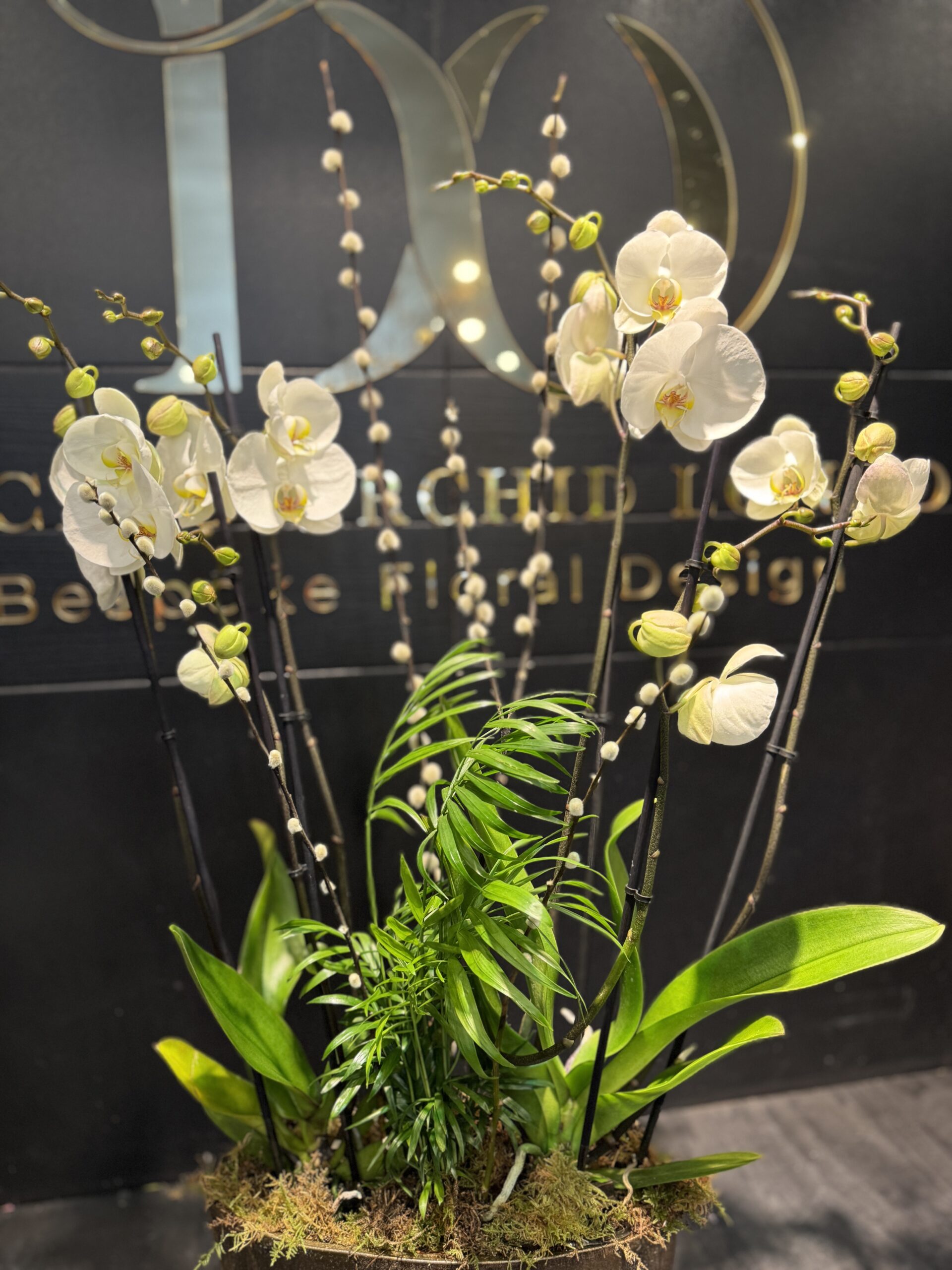 Opal orchid - Image 2