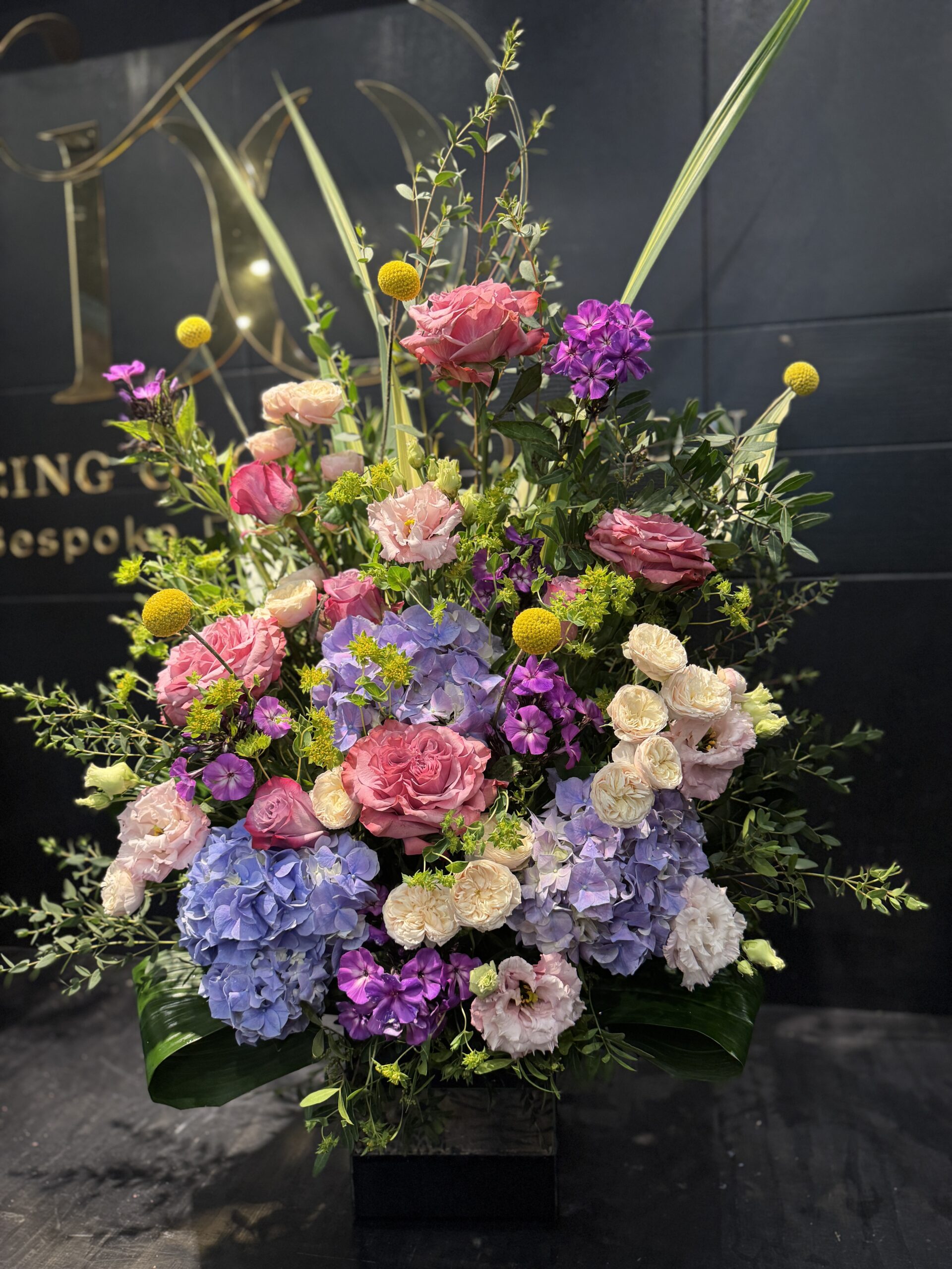 Amelia arrangement