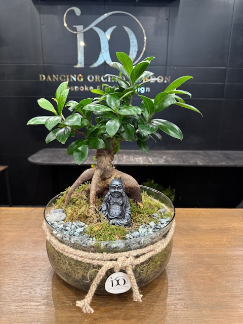 Zen Bonsai - Image 2