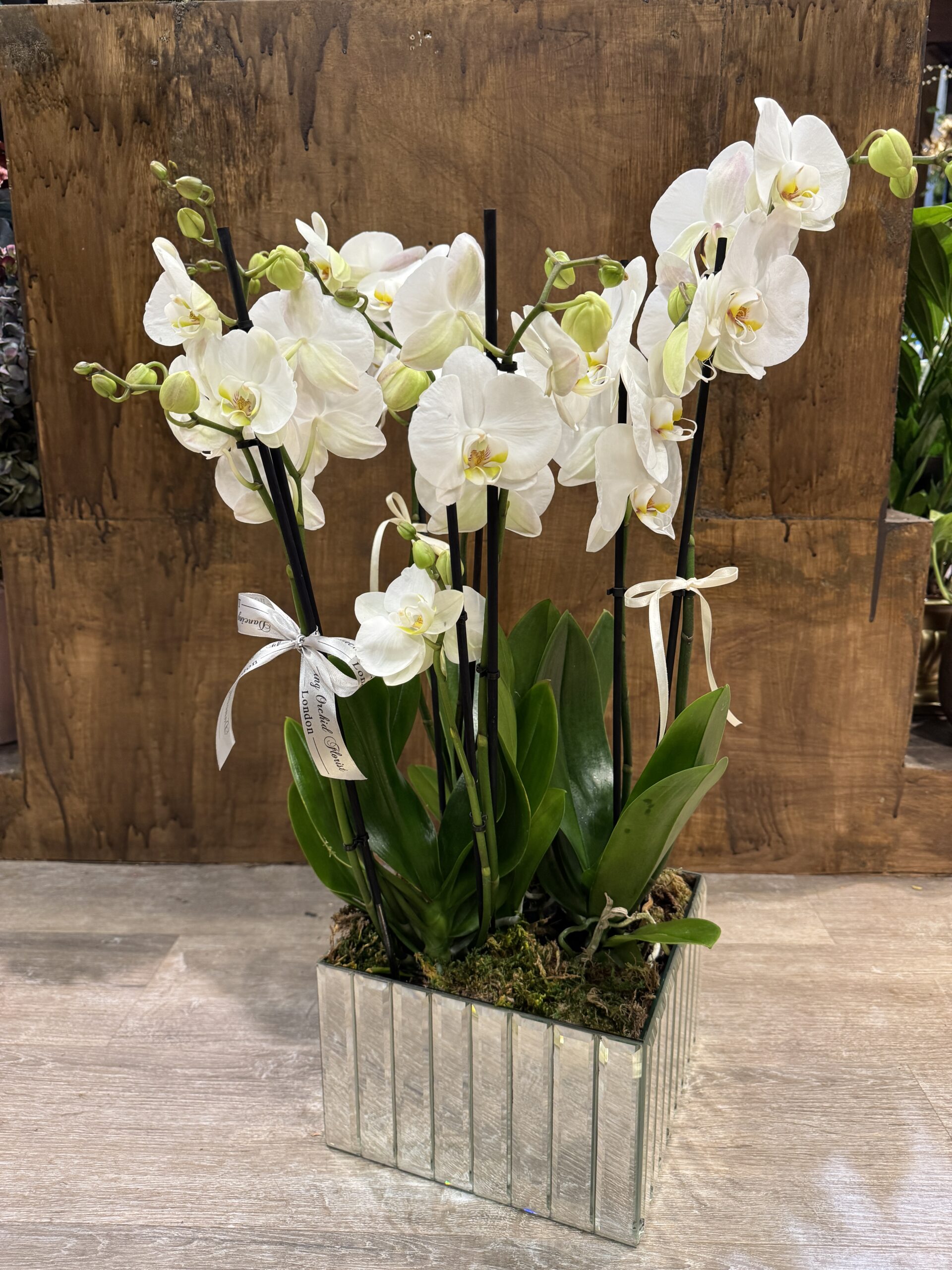 Mirror orchid arrangement - Image 2