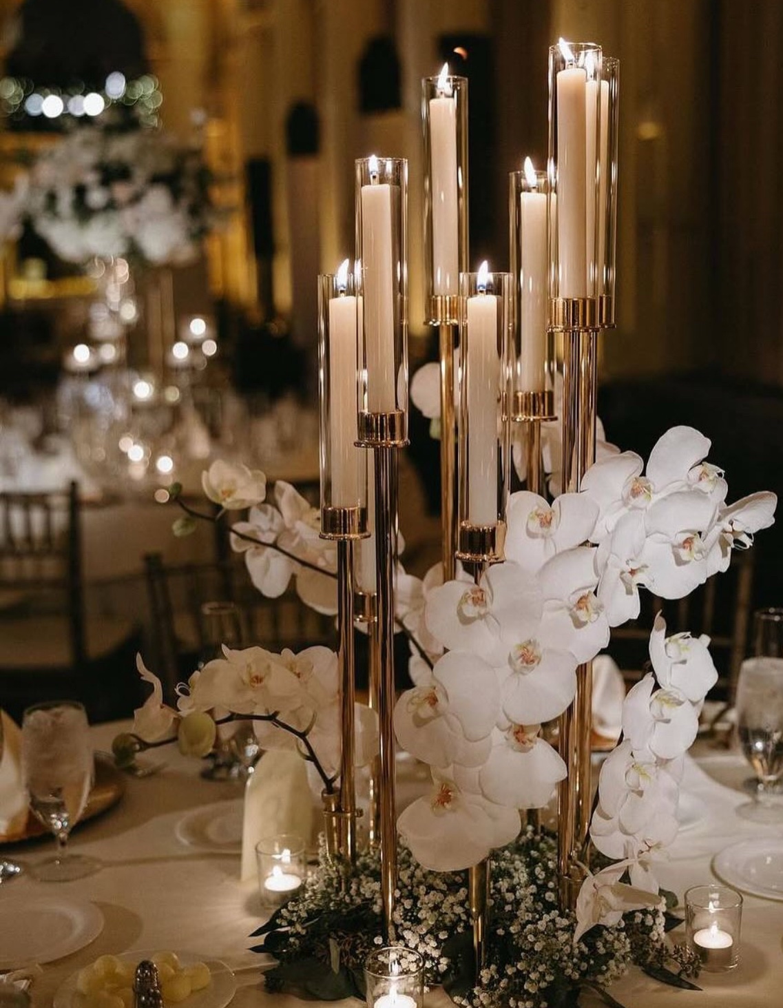 Ivory Orchid Glow wedding
