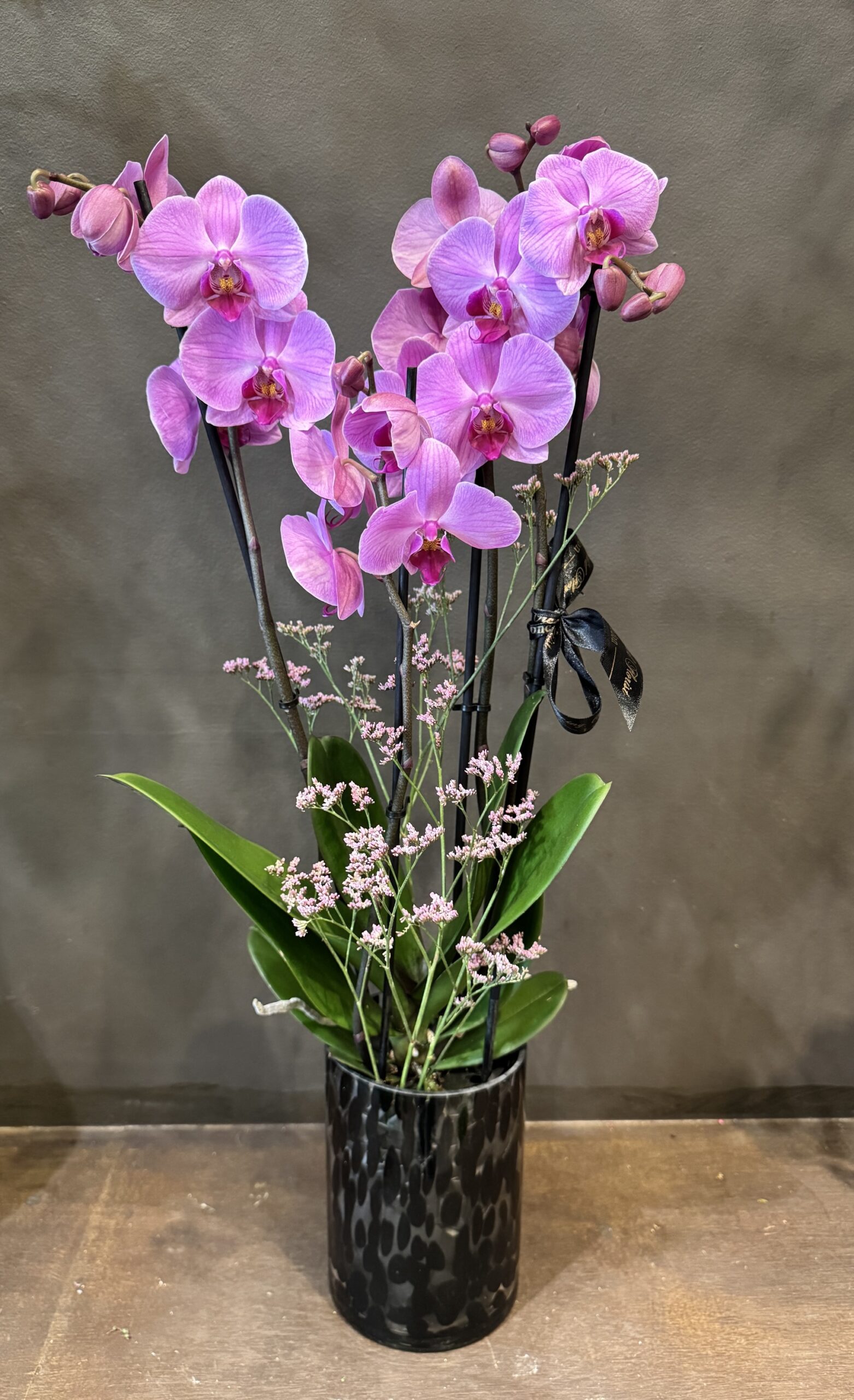 Orchid Élégance - Image 2
