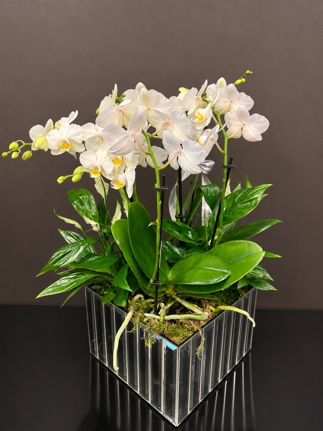 Luxe Blooms