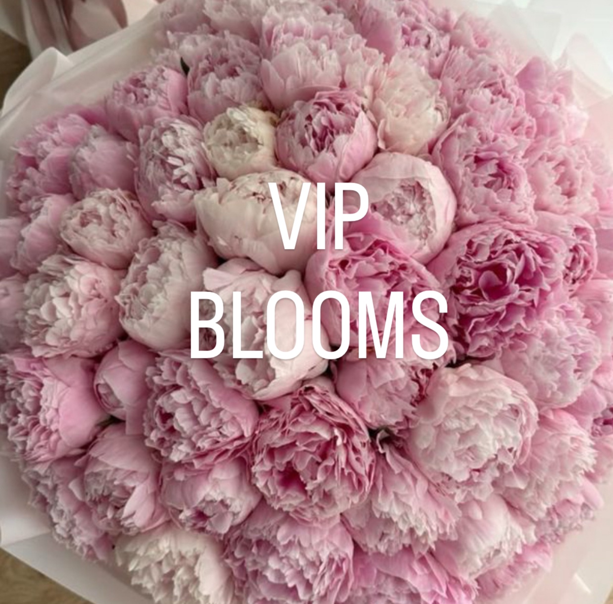 Imperial Peonies